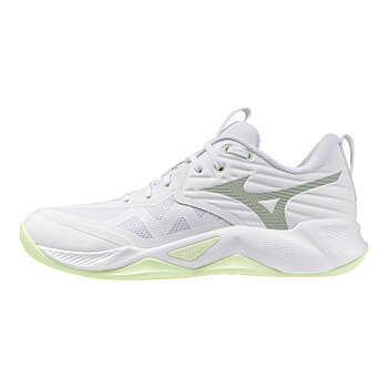 Mizuno Wave Momentum Pro W Inomhusskor
