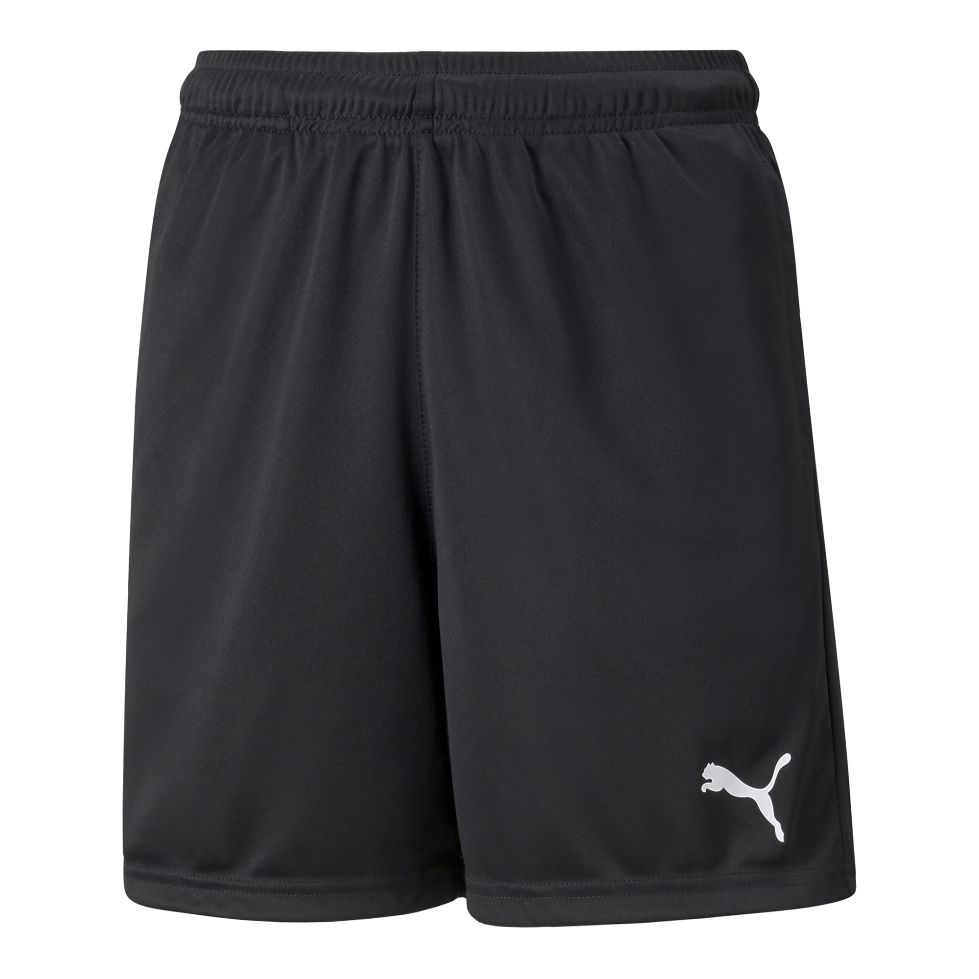 Puma Nordic Individualrise Shorts Jr