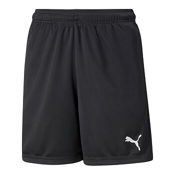 Puma Nordic Individualrise Shorts Jr