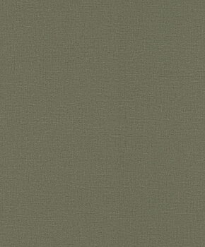 Serengeti - 555943