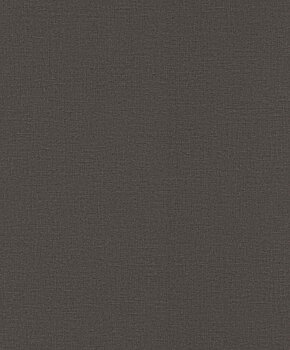 Serengeti - 555974