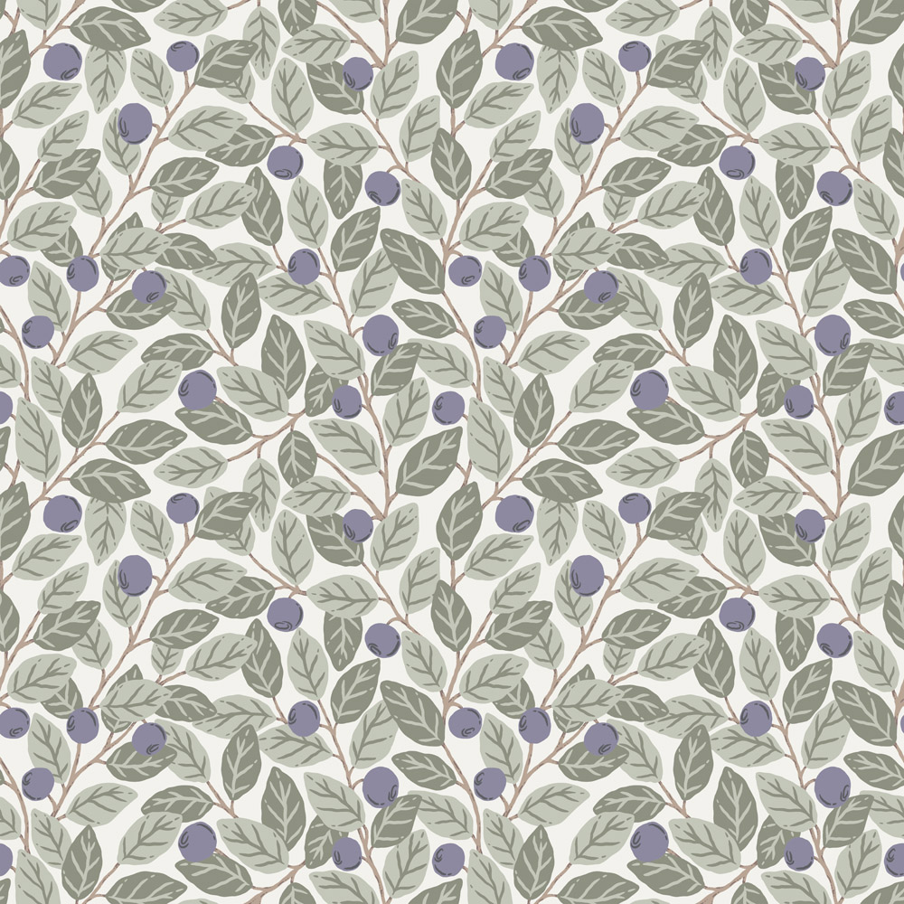 Blåbär - 26027