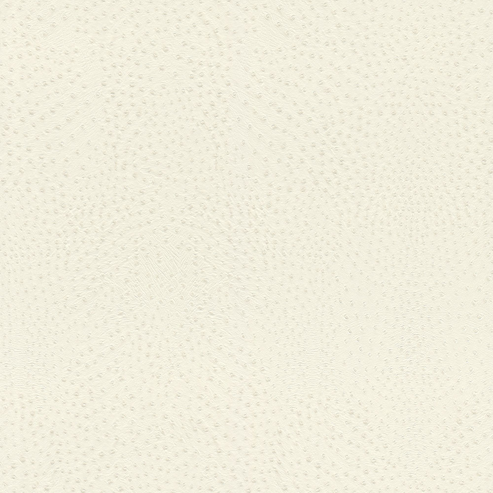 Serengeti - 751536