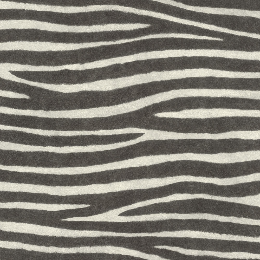 Serengeti - 751727