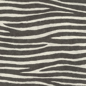 Serengeti - 751727