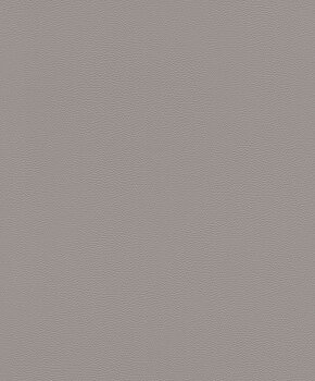 Serengeti - 752649