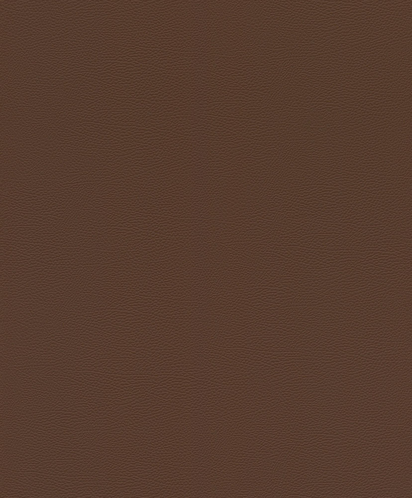 Serengeti - 752663