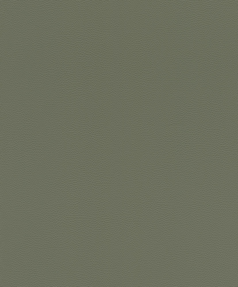 Serengeti - 752687