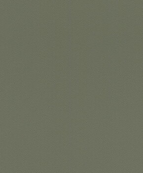 Serengeti - 752687