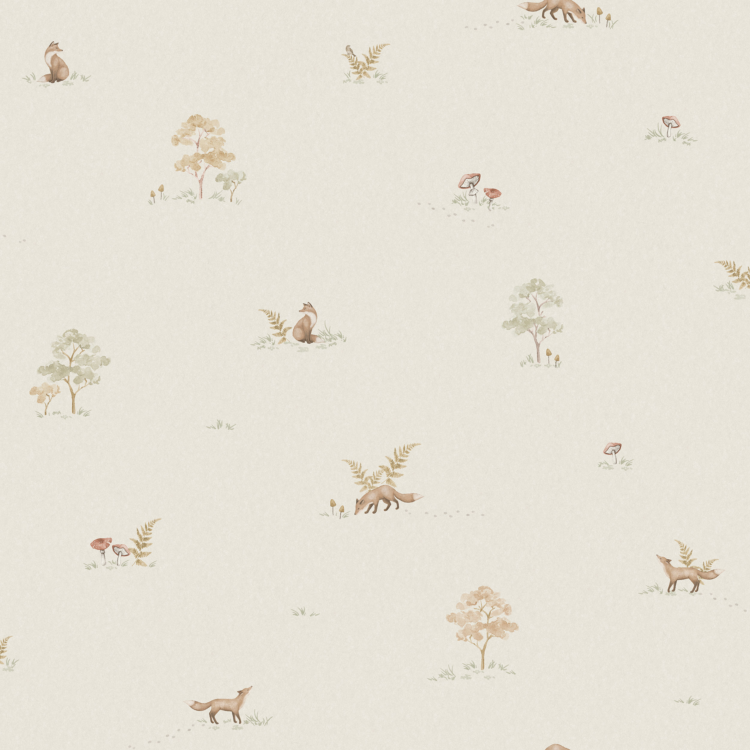 Little Fox - 6923