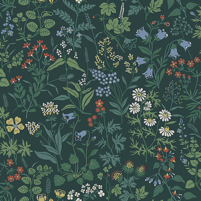 Flora - 4181