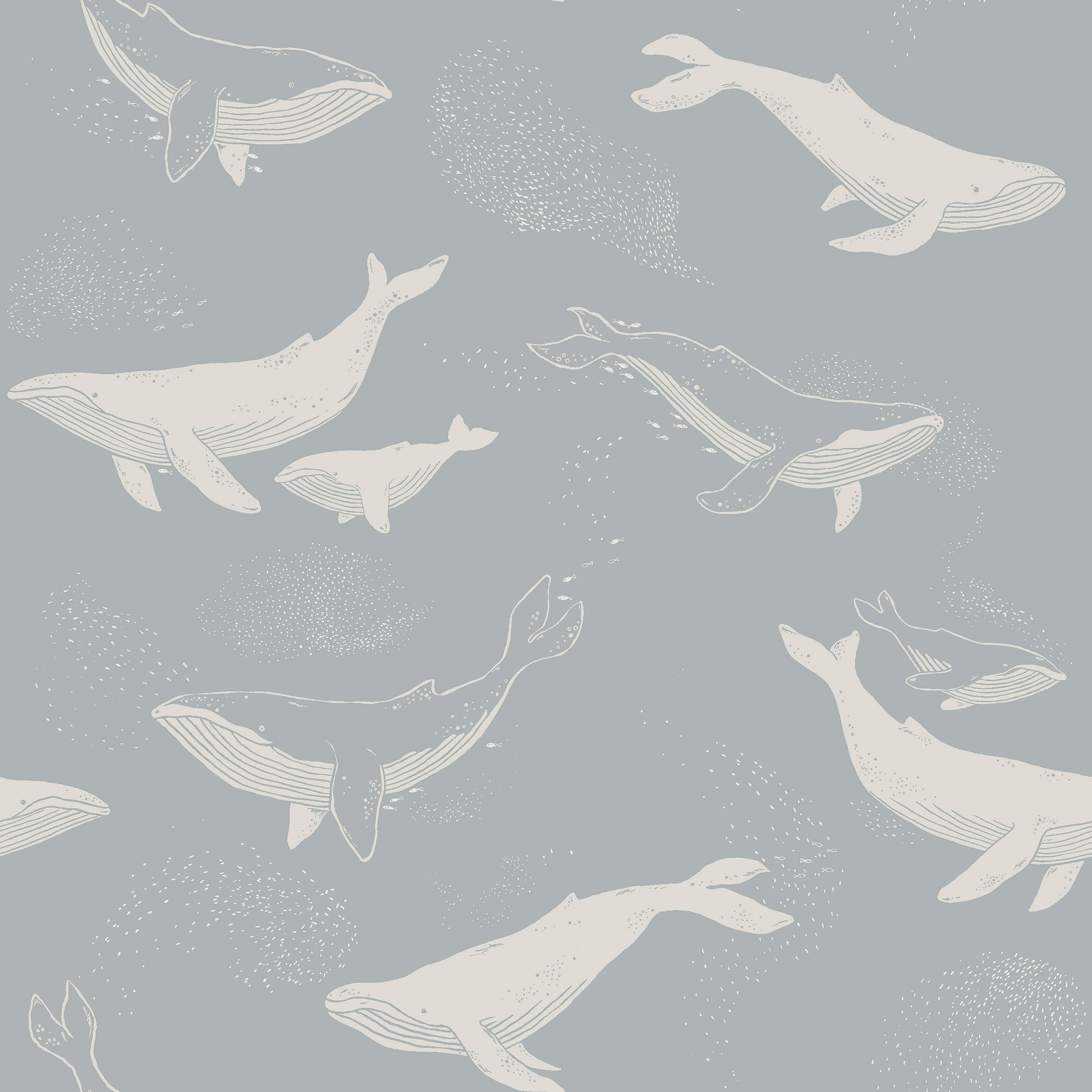 Whales - 6942