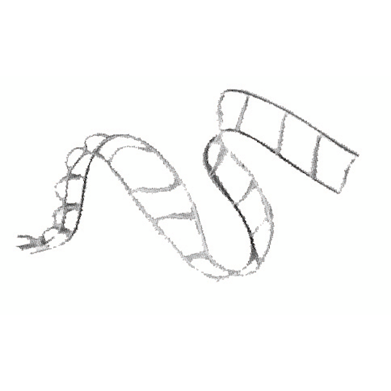 Stegband Vit