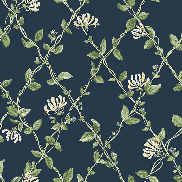 Honeysuckle - 8851