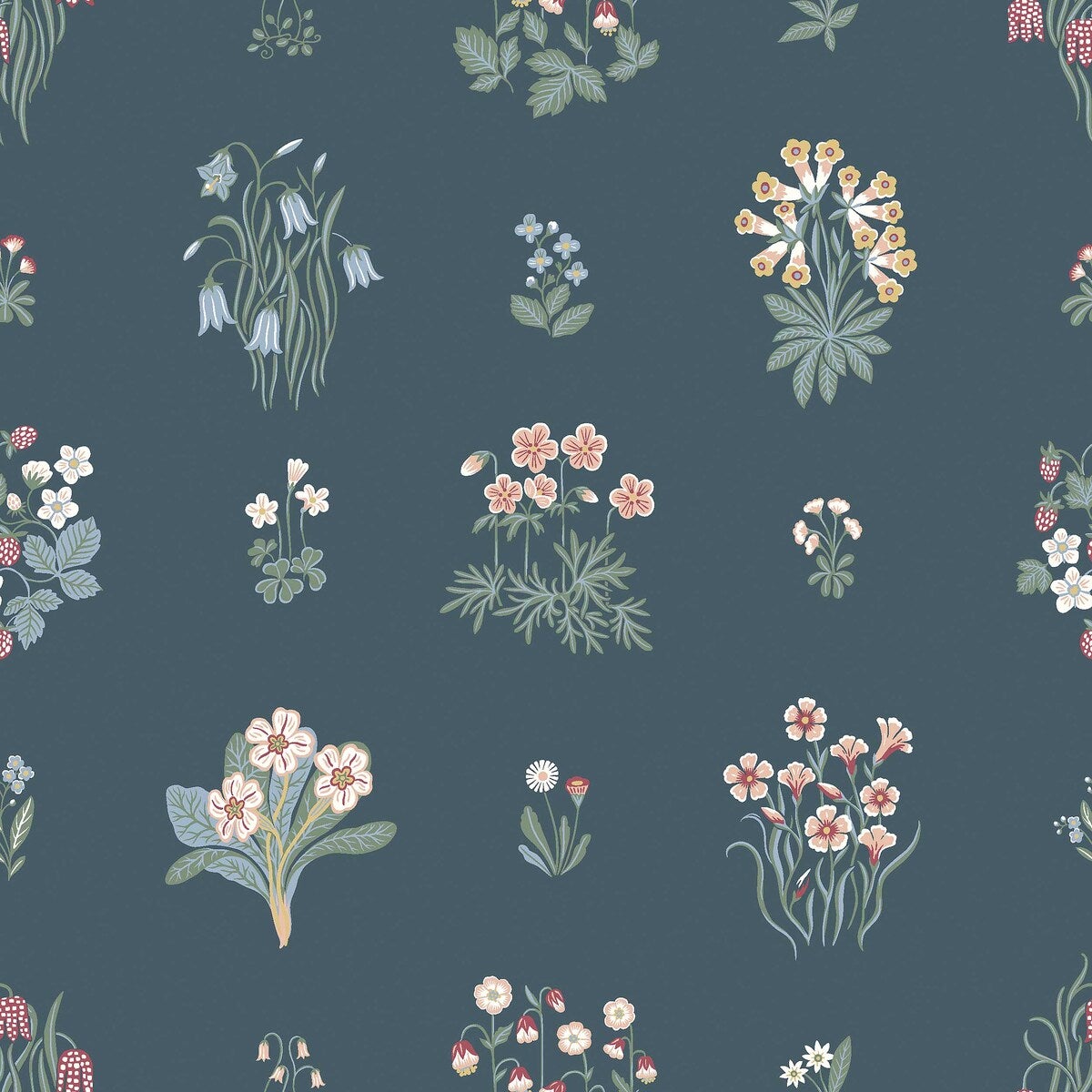 Ängsflora - 6952