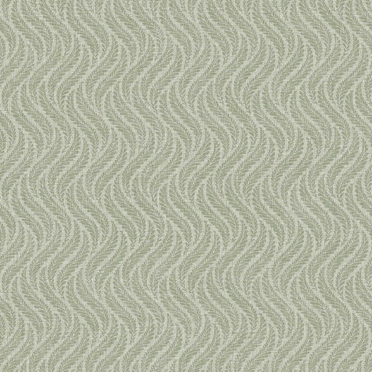 Little Fern - 7772
