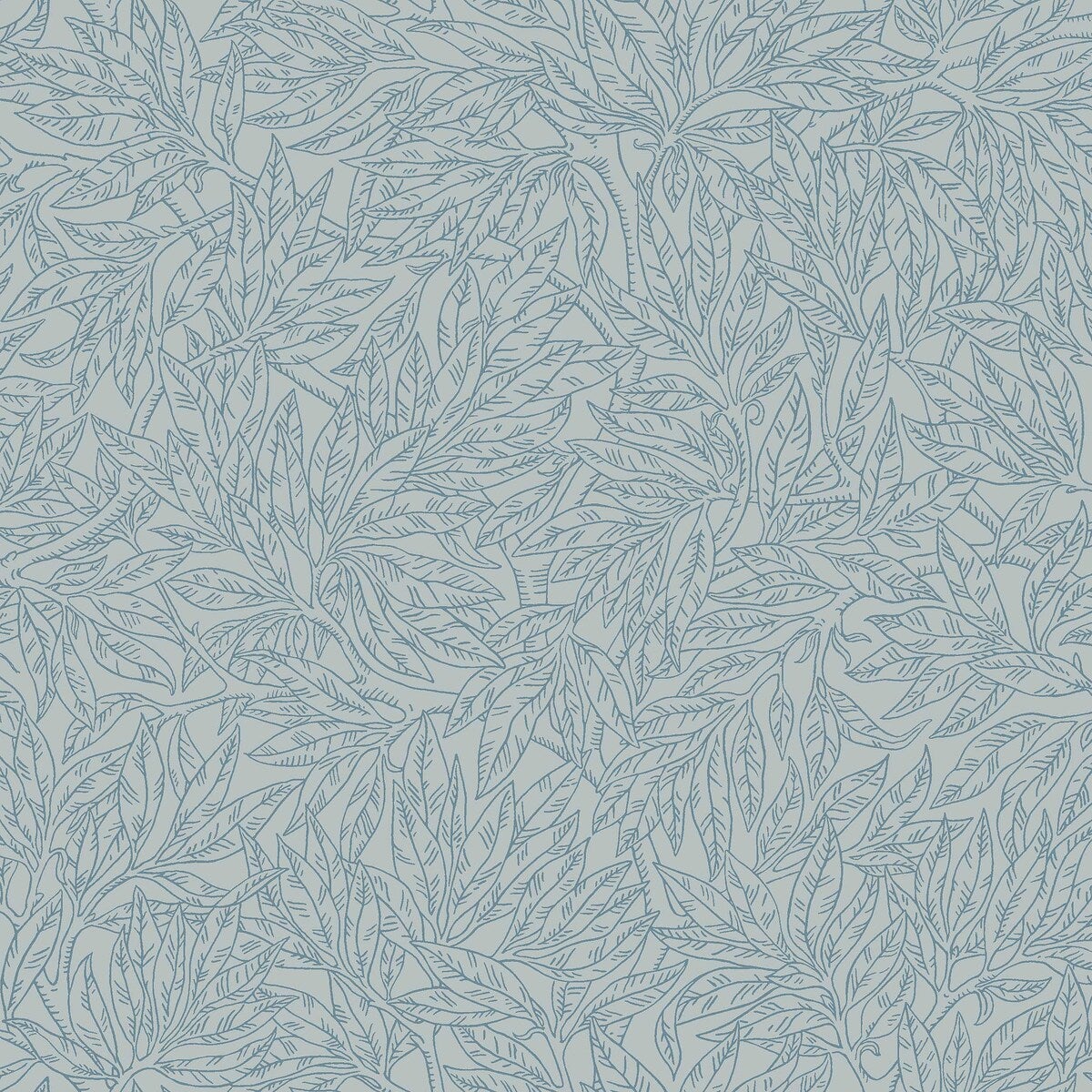 Salix Alba - 7788