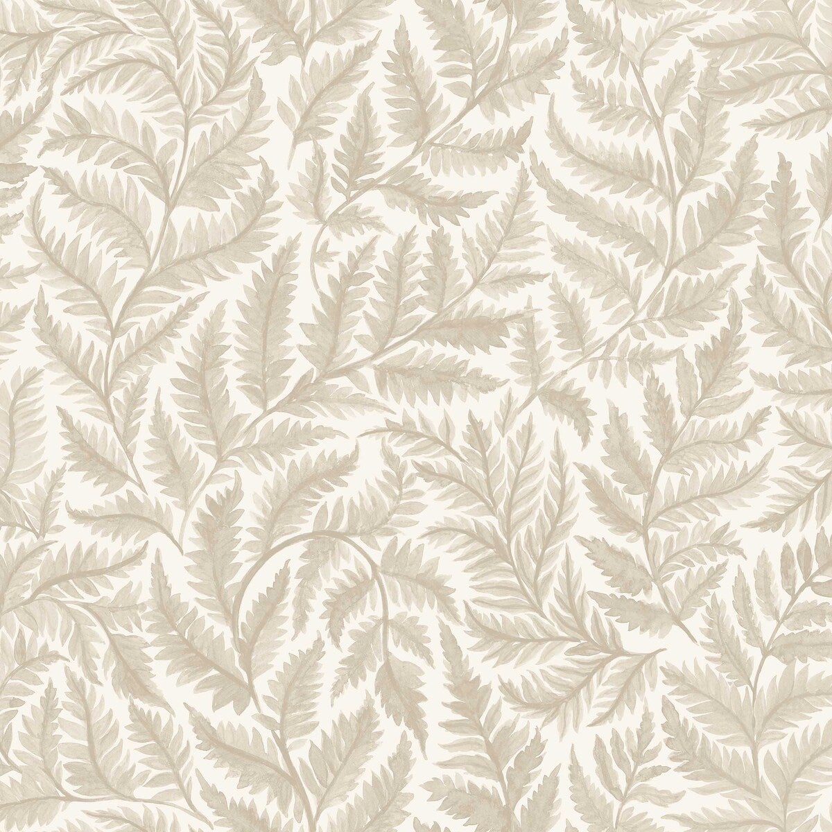 Ferns - 7789