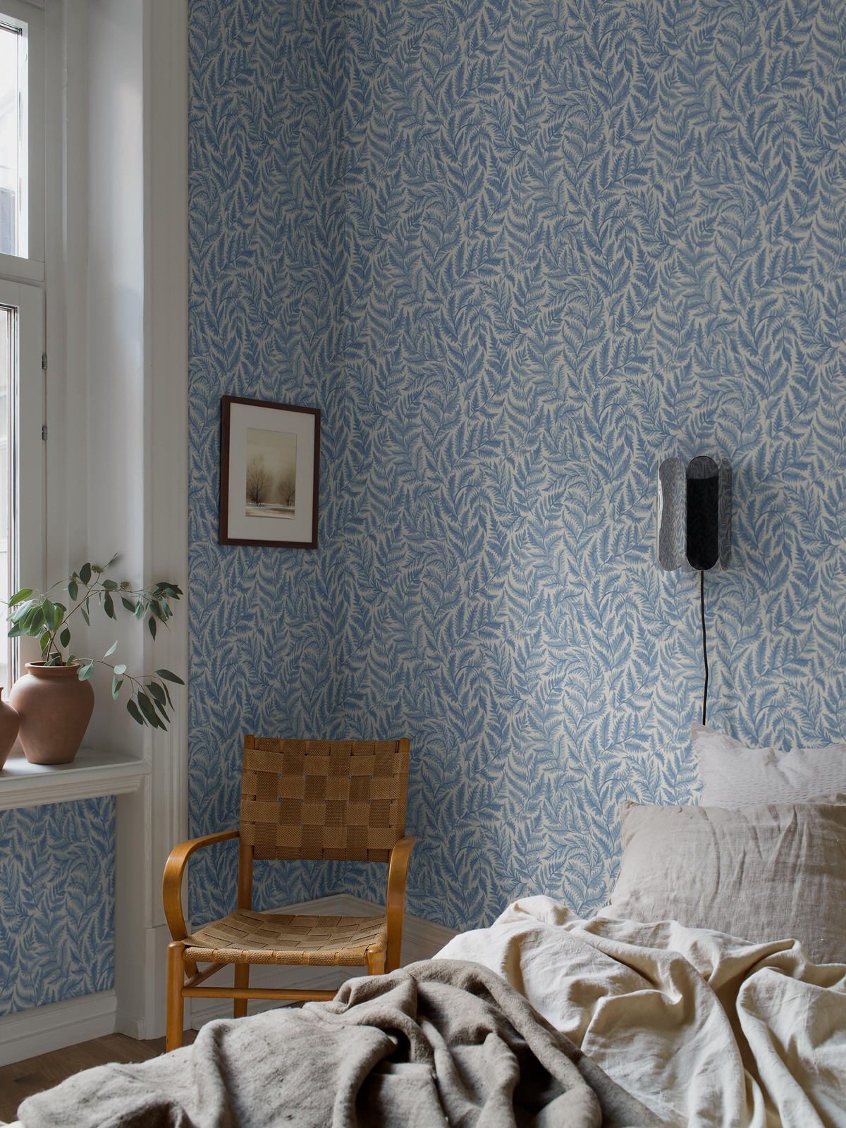 Ferns - 7790 - 3