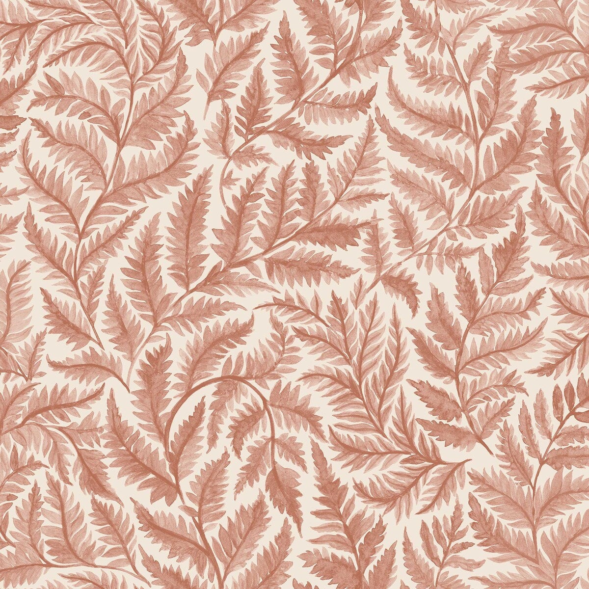 Ferns - 7791