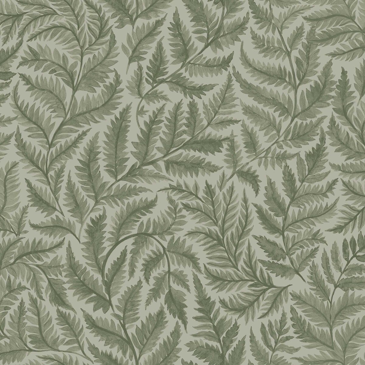 Ferns - 7792