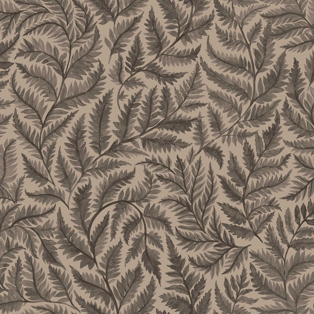 Ferns - 7793