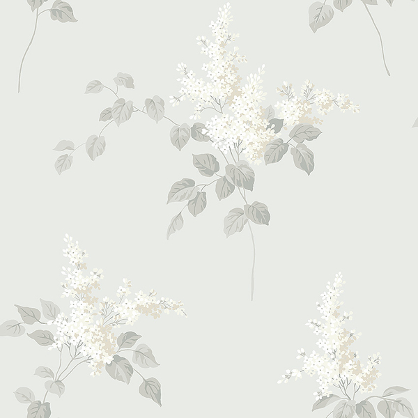 Lilacs - 7669