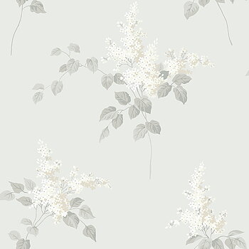 Lilacs - 7669