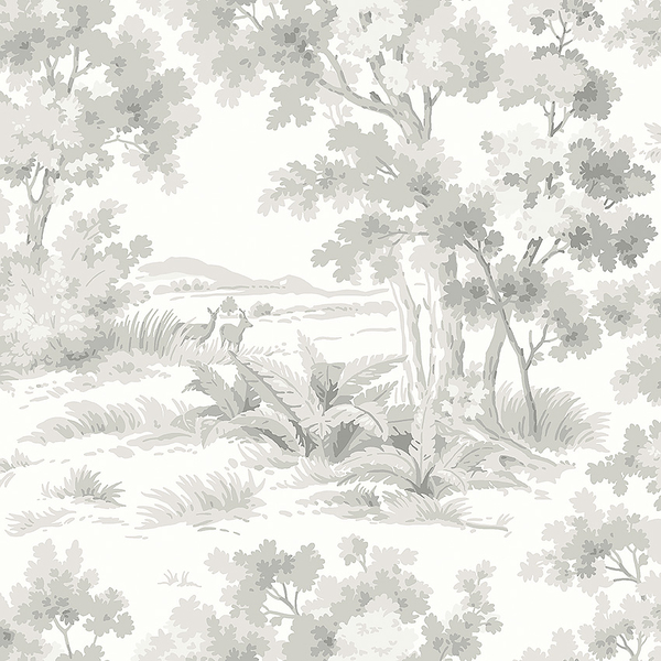 Countryside Morning - 7677
