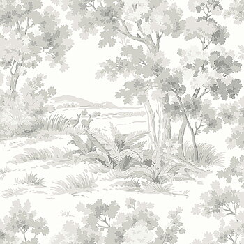 Countryside Morning - 7677