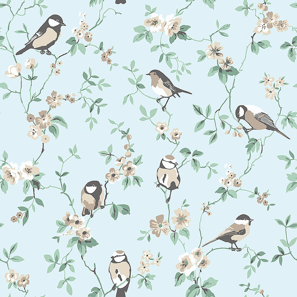 Falsterbo Birds - 7681