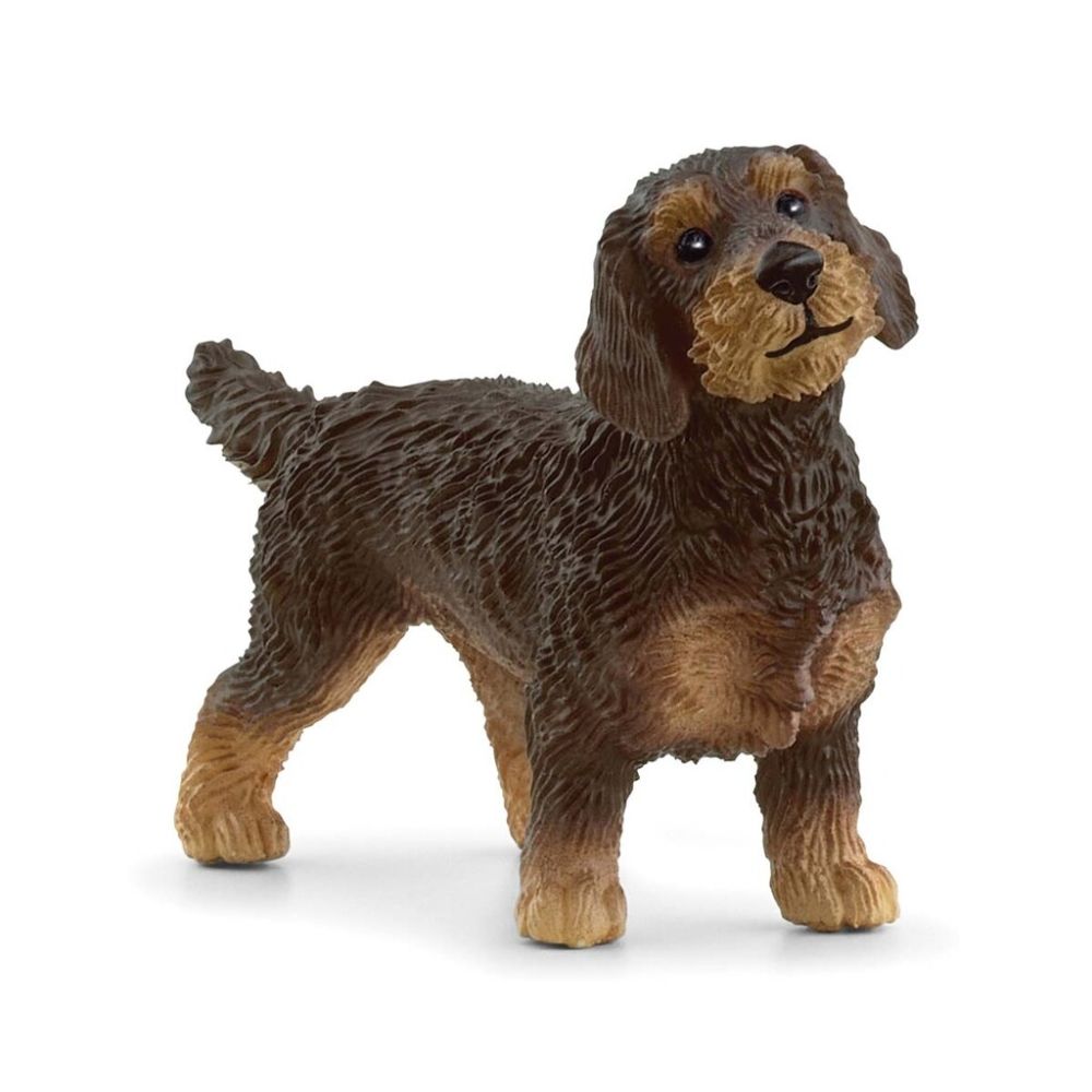 Strävhårig Tax - Schleich 13972