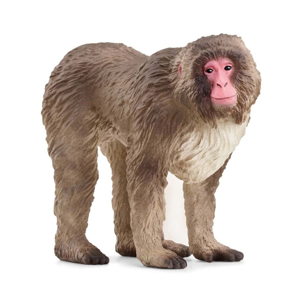 Japansk Makak - Schleich 14871