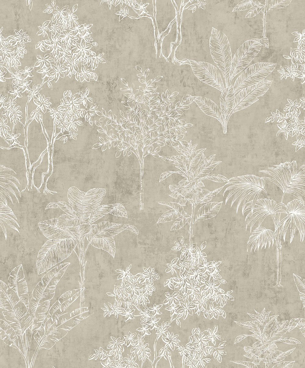 Tropical Forest - 36106