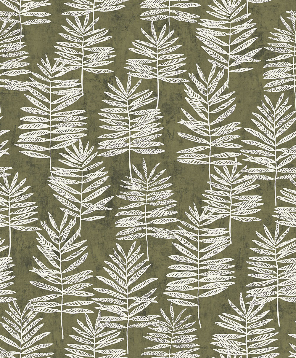 Modern Polypody - 36501