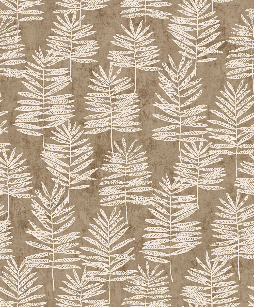 Modern Polypody - 36502