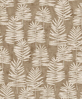 Modern Polypody - 36502