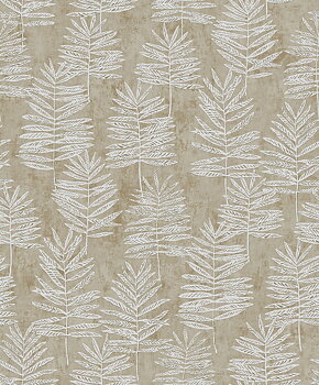 Modern Polypody - 36505