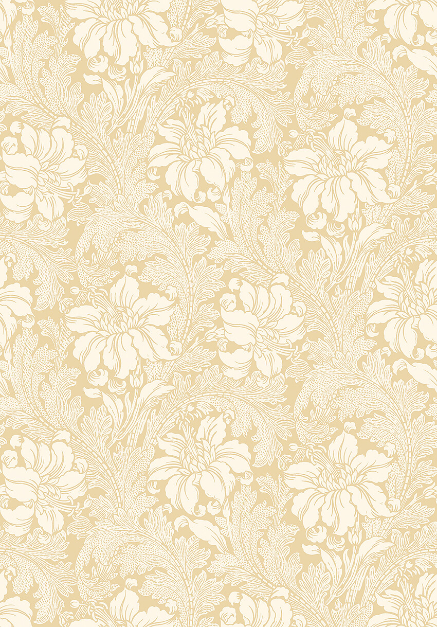 Acanthus - 2012