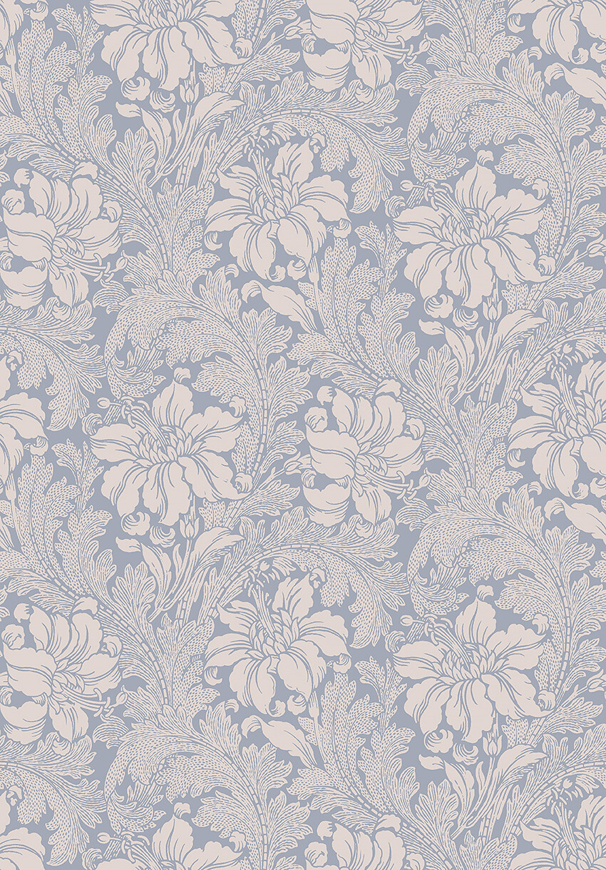 Acanthus - 2010
