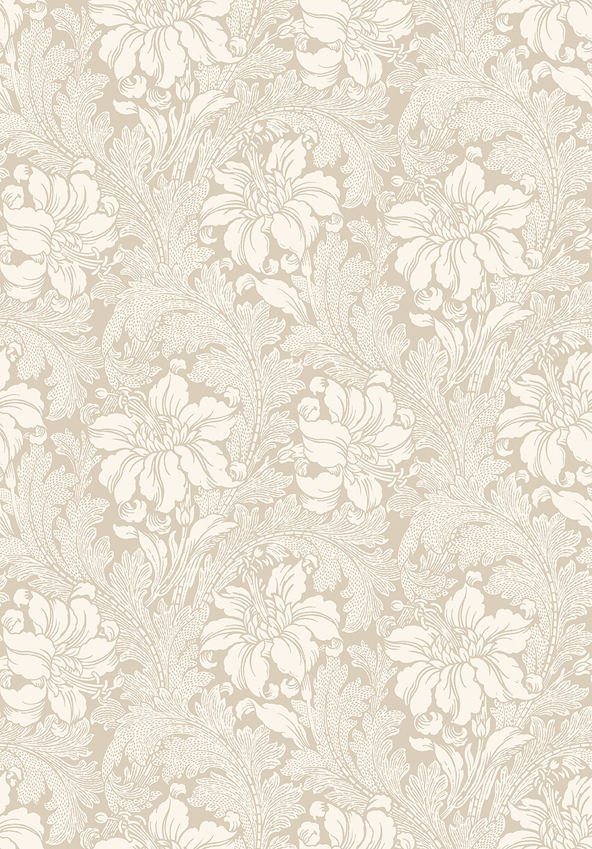 Acanthus - 2011
