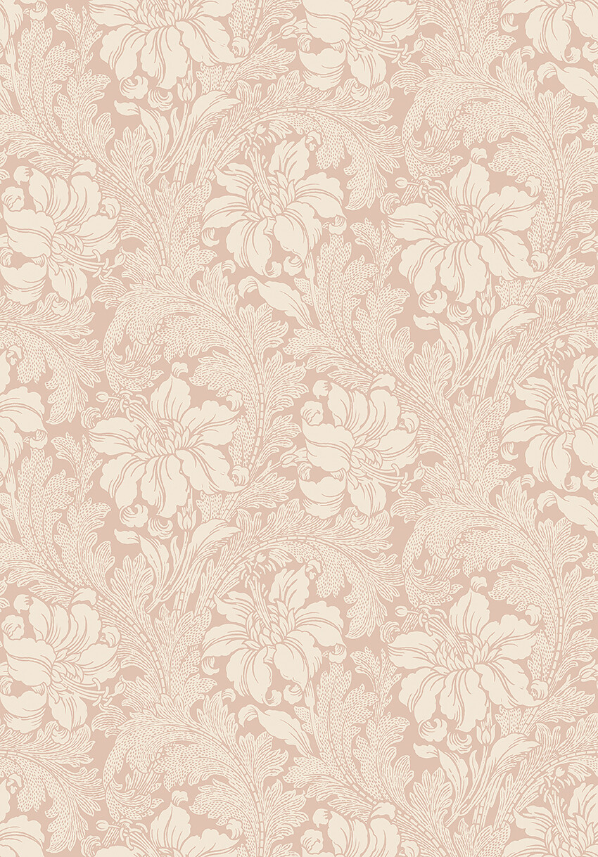 Acanthus - 2009
