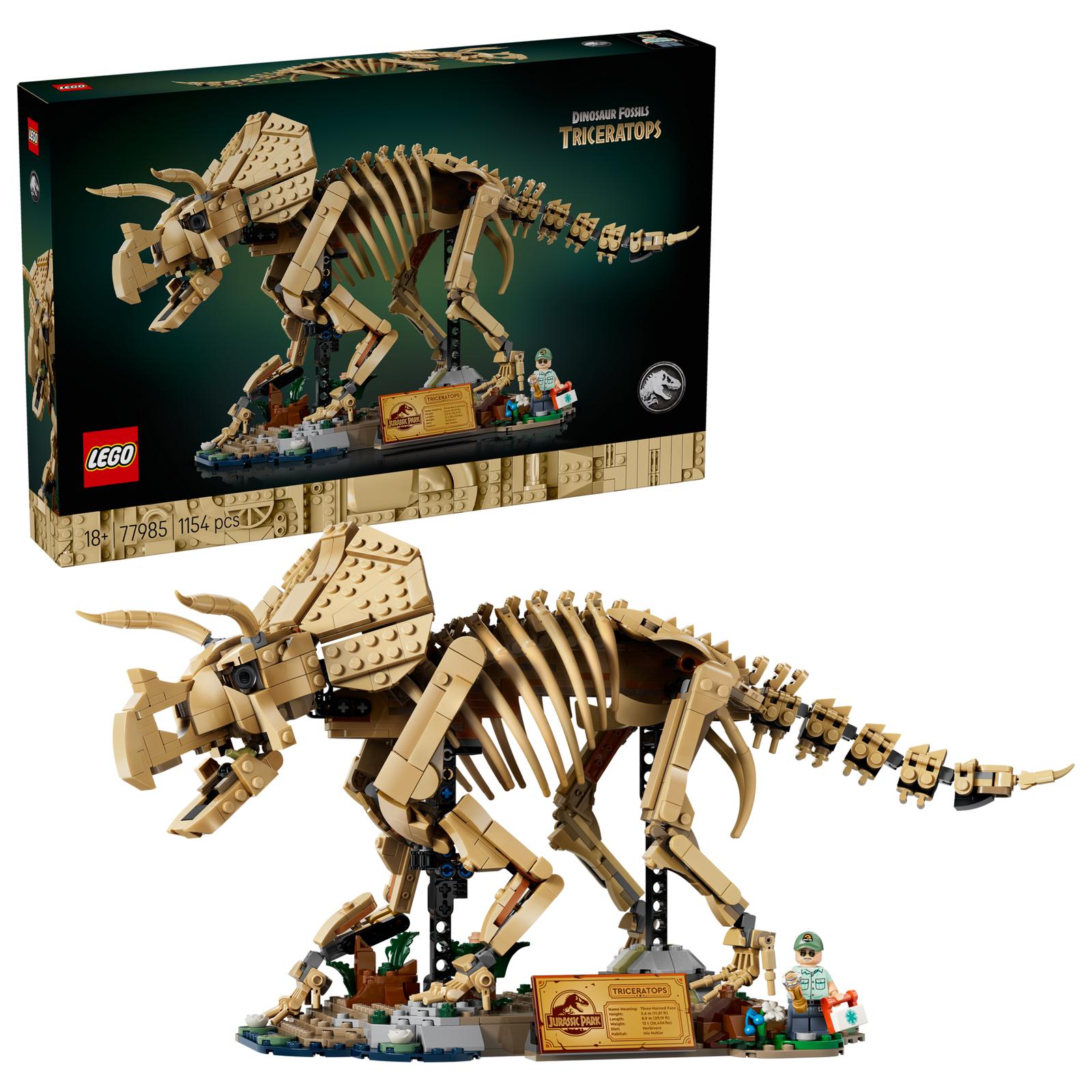 Dinosauriefossiler: Triceratops - 77985