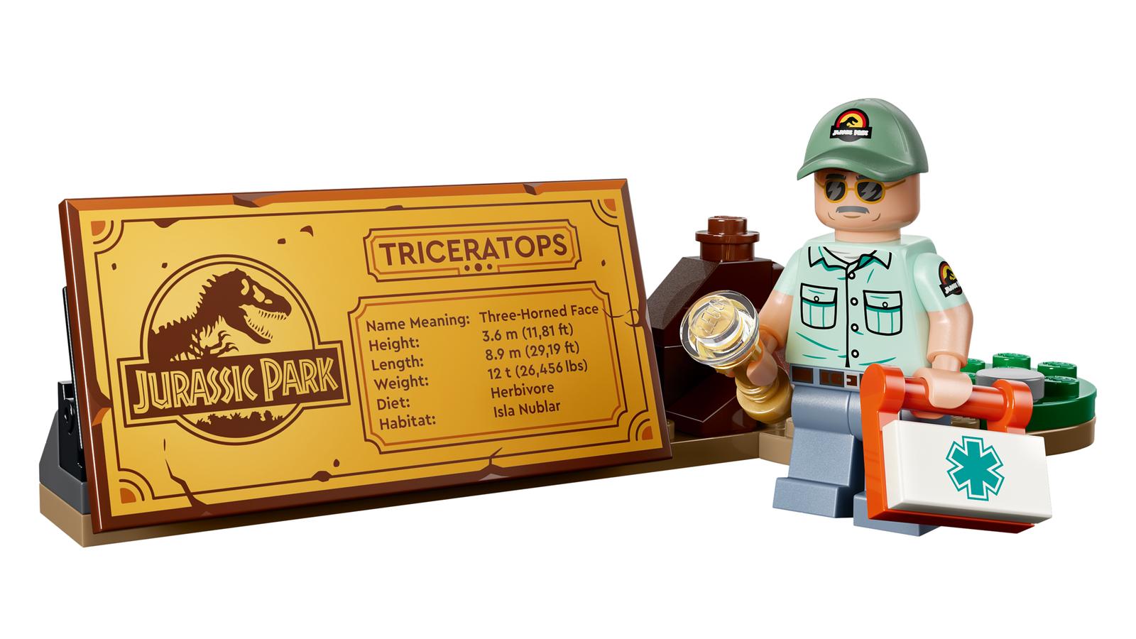 Dinosauriefossiler: Triceratops - 77985 - 3