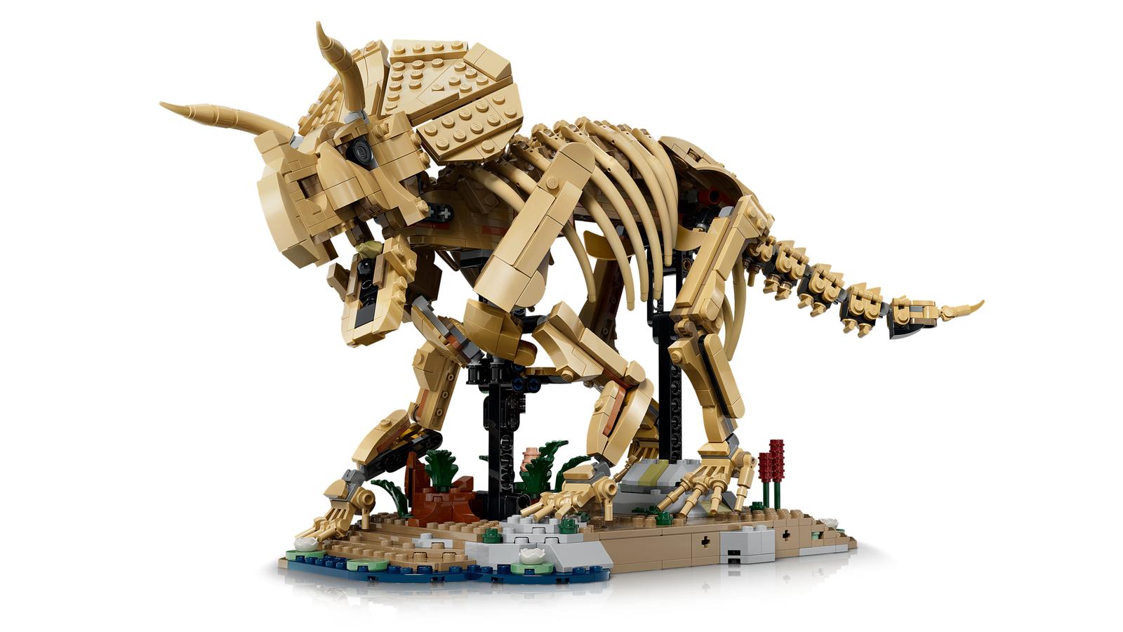 Dinosauriefossiler: Triceratops - 77985 - 2