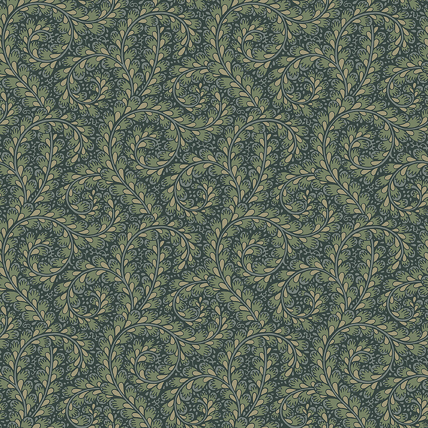 Wild Ferns - 2258