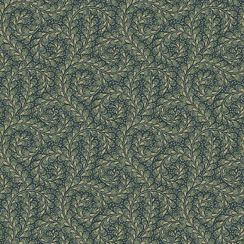 Wild Ferns - 2258