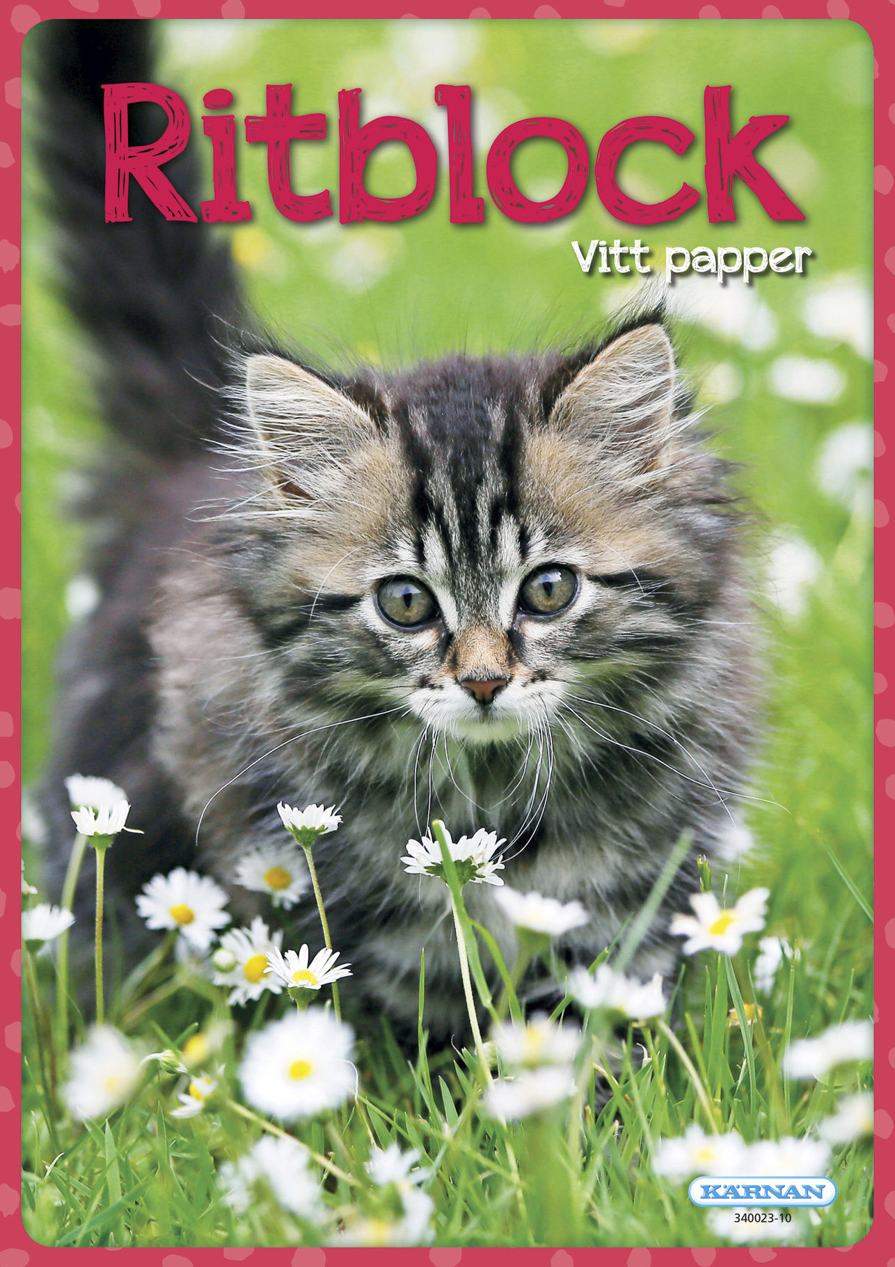 Ritblock Djur - 2