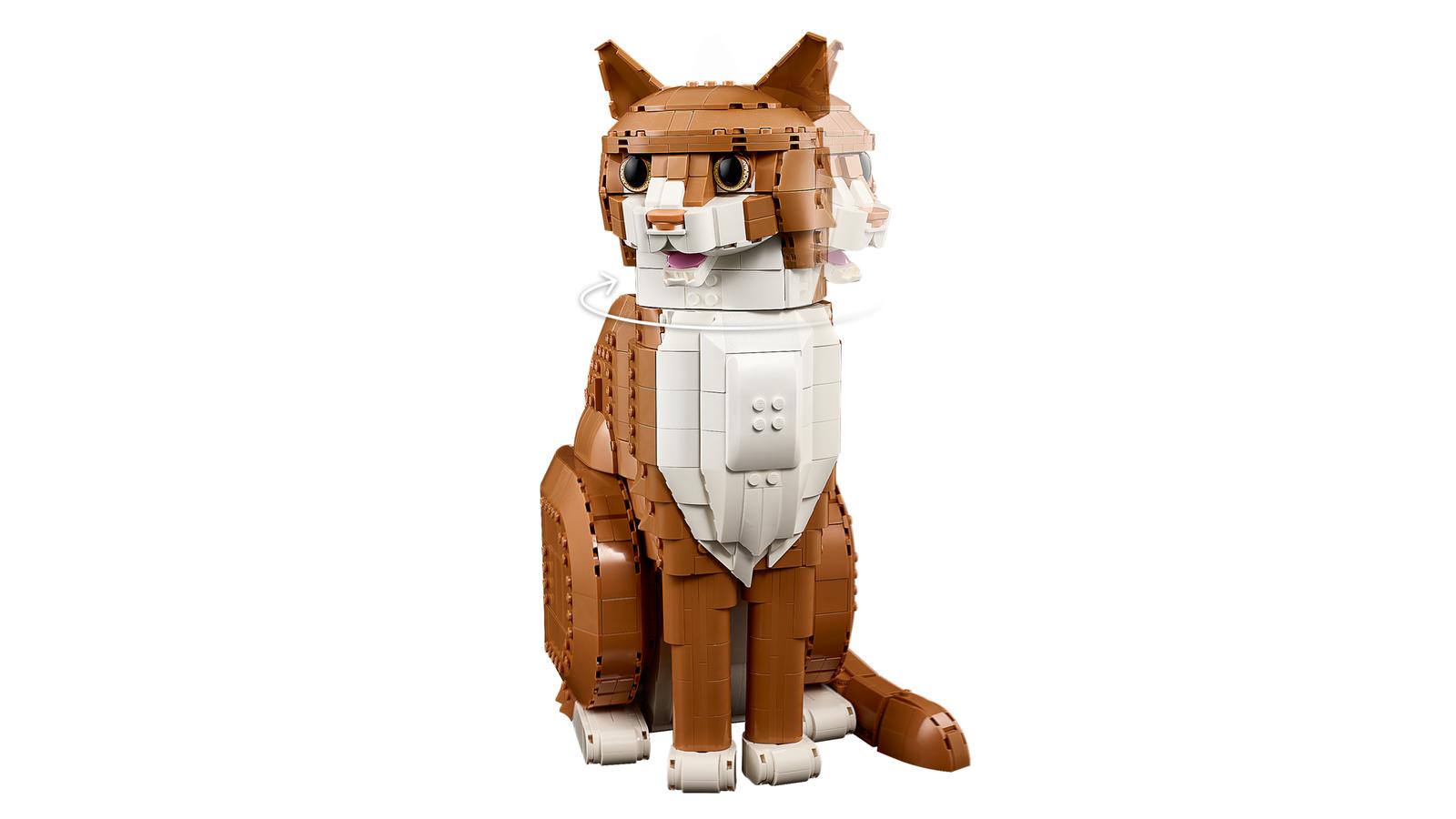 Orange katt - 21376 - 2