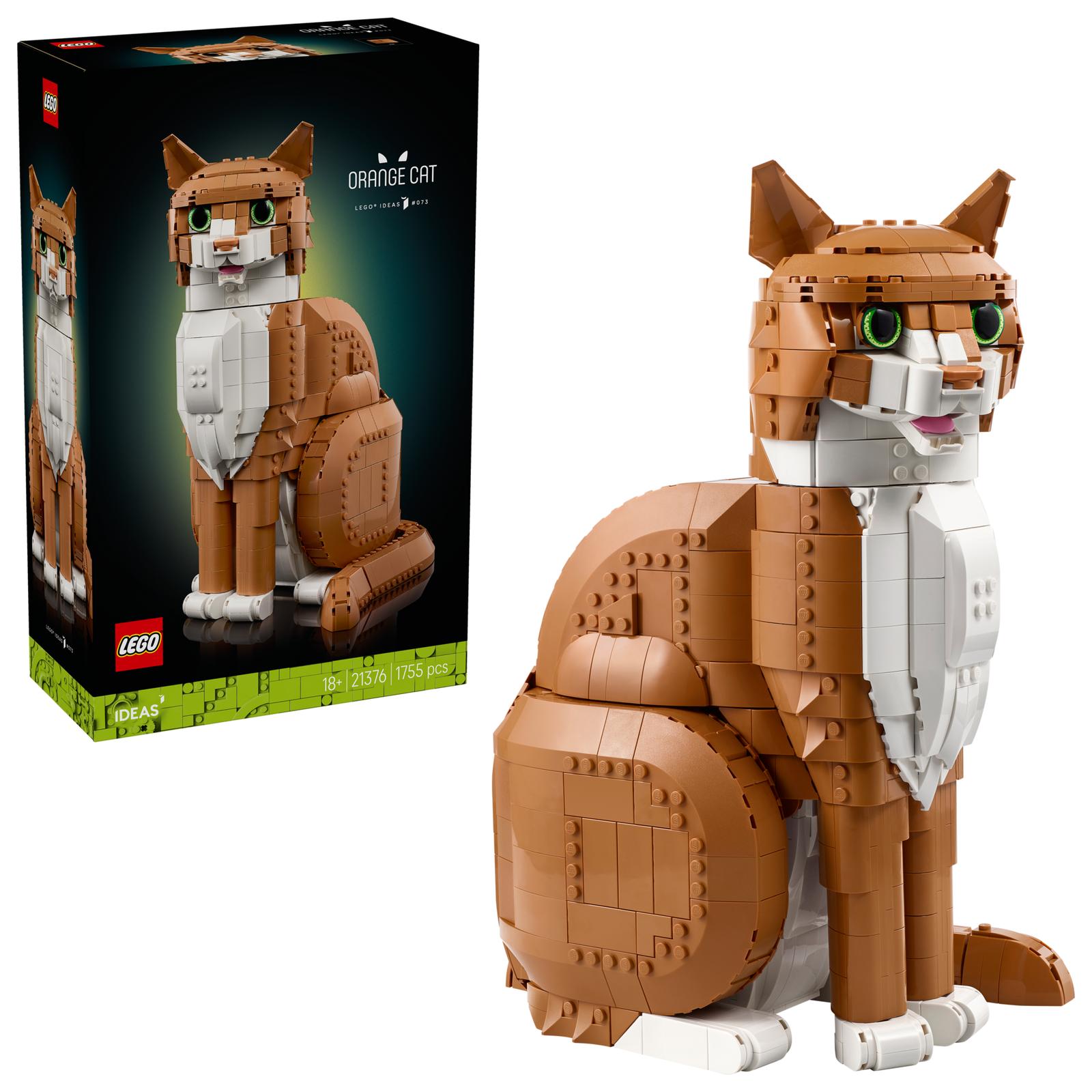 Orange katt - 21376